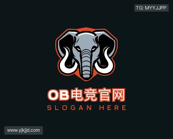 介绍ob电竞官网